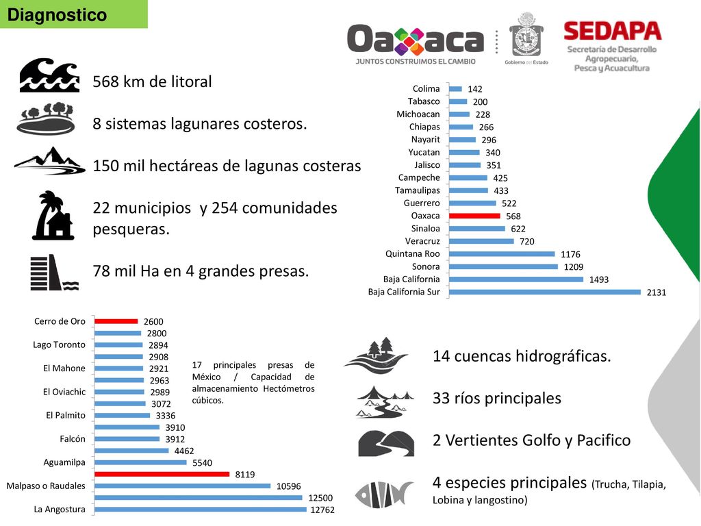 8 sistemas lagunares costeros. 150 mil hectáreas de lagunas costeras
