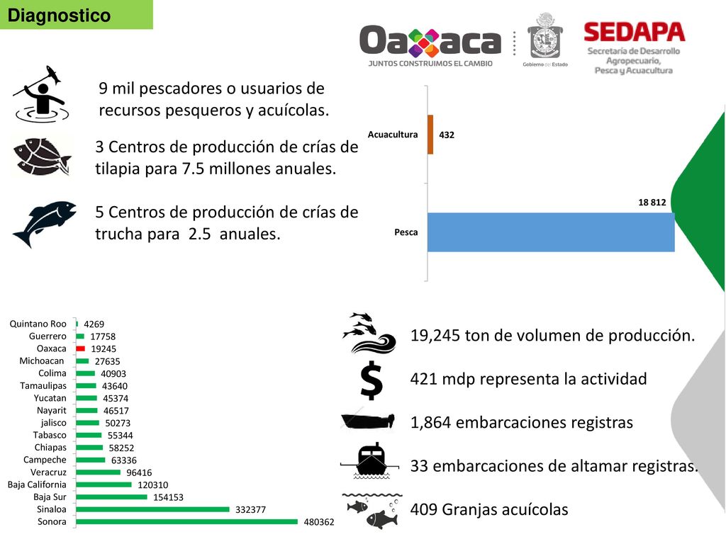 Diagnostico 9 mil pescadores o usuarios de recursos pesqueros y acuícolas. 3 Centros de producción de crías de tilapia para 7.5 millones anuales.