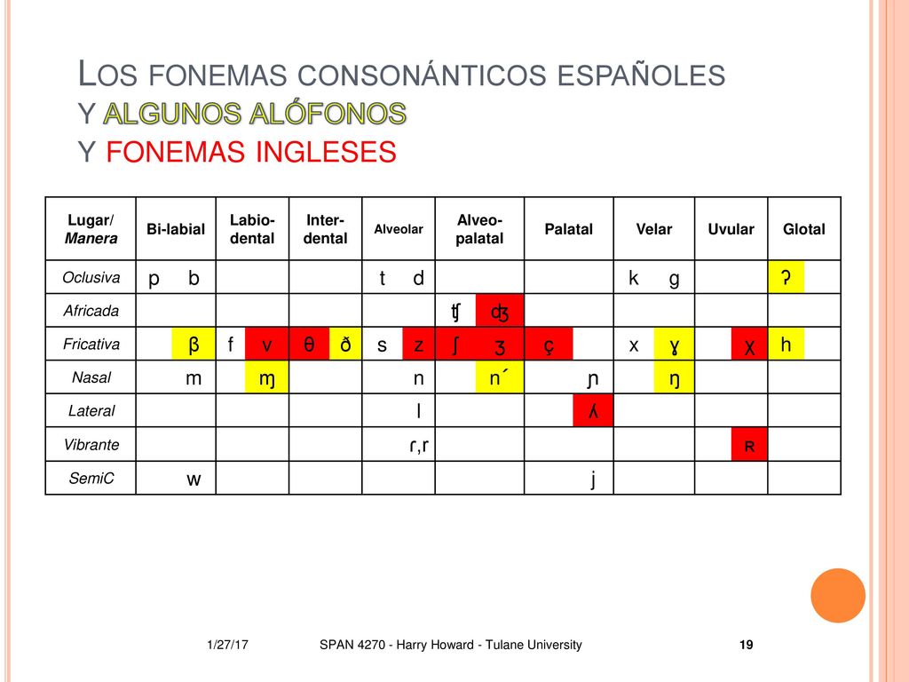 Los fonemas consonánticos españoles y algunos alófonos y fonemas ingleses