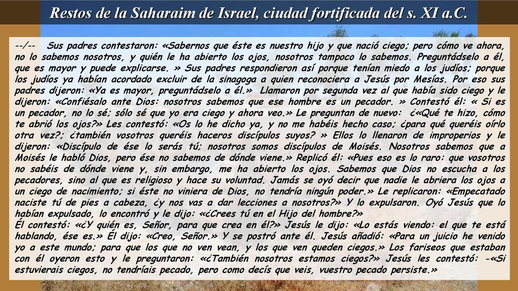 Restos de la Saharaim de Israel, ciudad fortificada del s. XI a.C.
