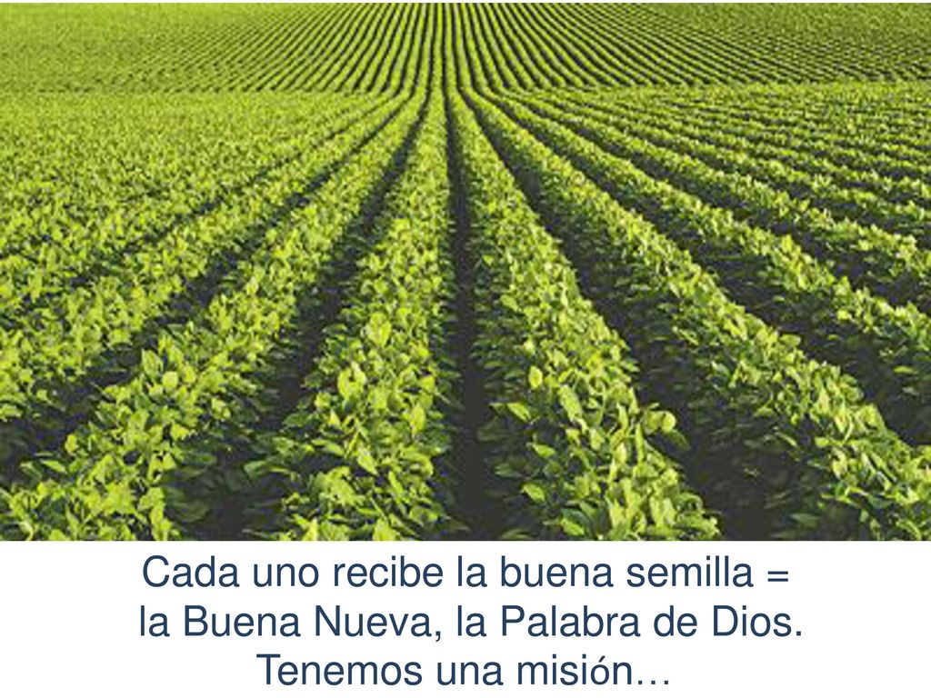 Cada uno recibe la buena semilla = la Buena Nueva, la Palabra de Dios.