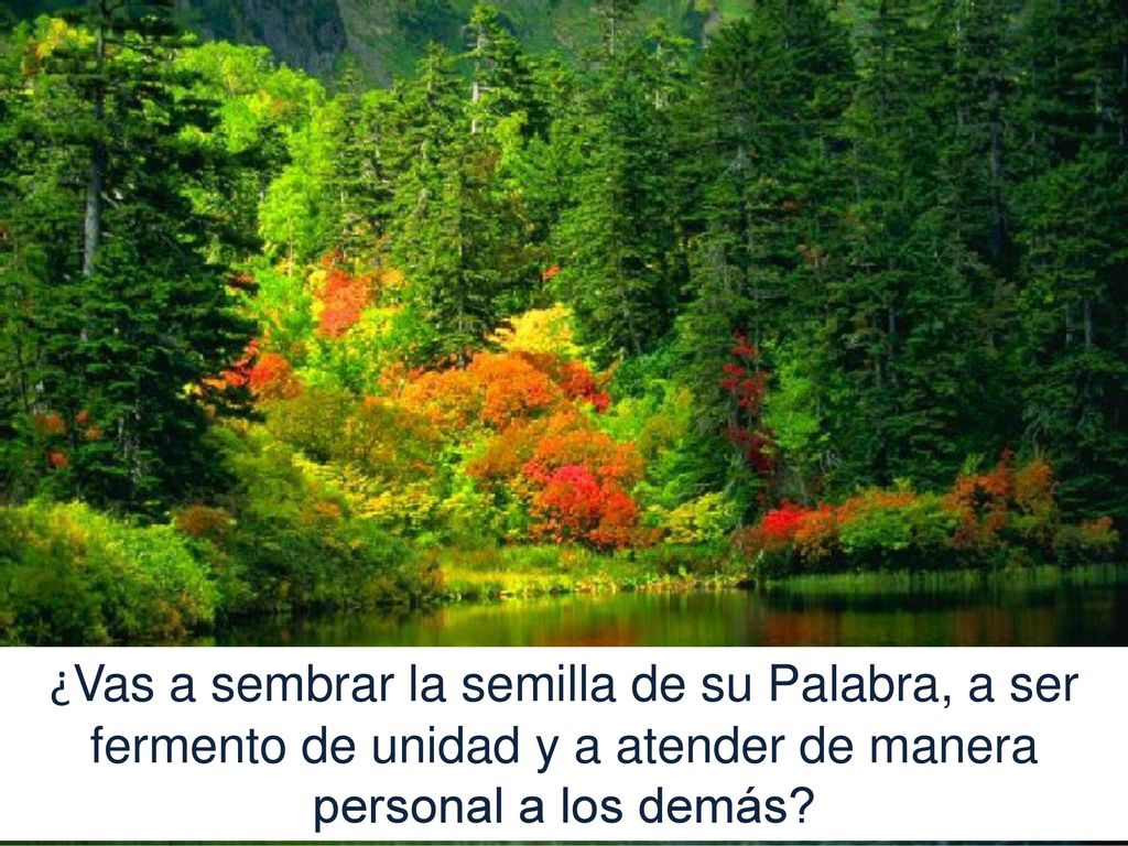 ¿Vas a sembrar la semilla de su Palabra, a ser fermento de unidad y a atender de manera personal a los demás