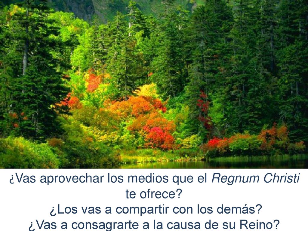 ¿Vas aprovechar los medios que el Regnum Christi te ofrece