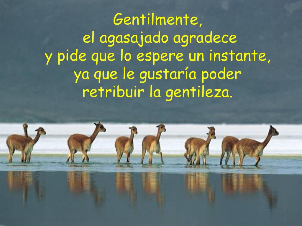 Gentilmente, el agasajado agradece y pide que lo espere un instante, ya que le gustaría poder retribuir la gentileza.