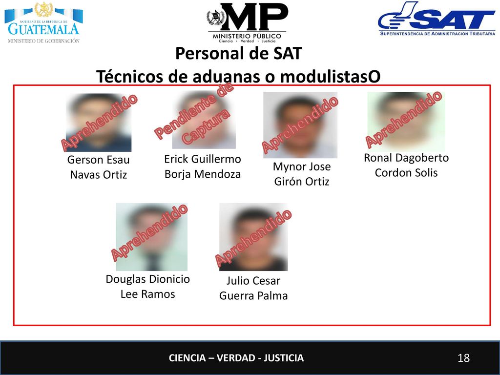 Técnicos de aduanas o modulistasO
