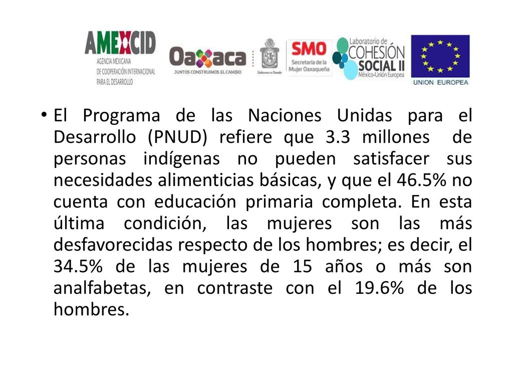 El Programa de las Naciones Unidas para el Desarrollo (PNUD) refiere que 3.3 millones de personas indígenas no pueden satisfacer sus necesidades alimenticias básicas, y que el 46.5% no cuenta con educación primaria completa.