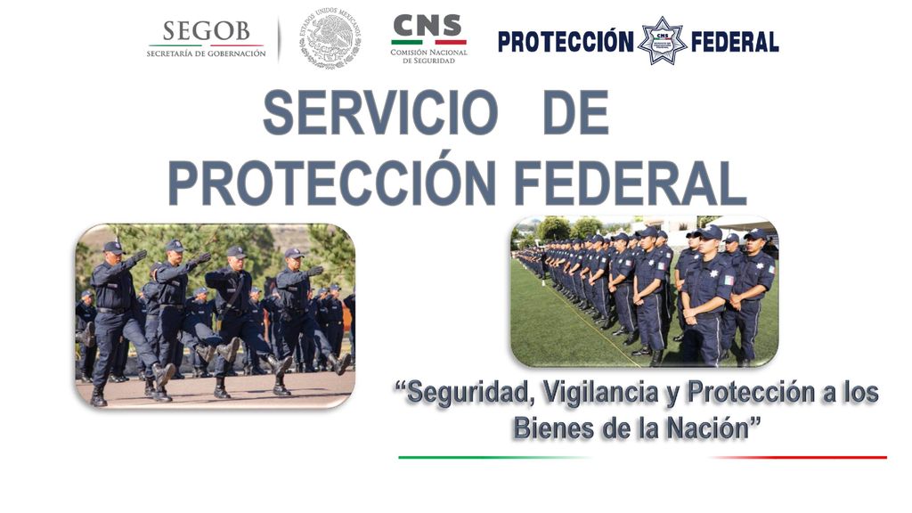 Seguridad, Vigilancia y Protección a los Bienes de la Nación
