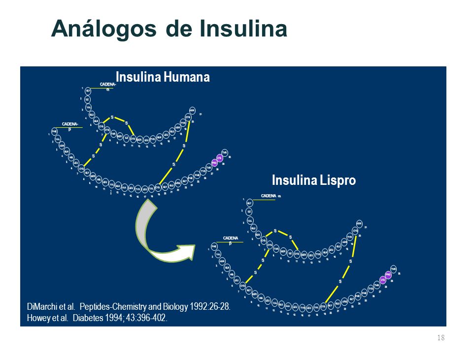 Análogos de Insulina Insulina Humana. CADENA-  1. GLY. 2. ILE. 3. VAL. ASN. GLU. 4. S. CYS.