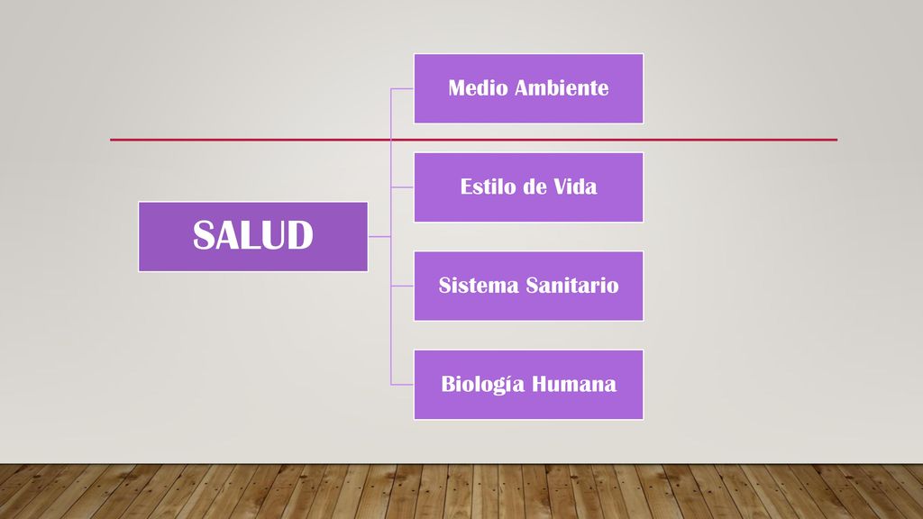 SALUD Medio Ambiente Estilo de Vida Sistema Sanitario Biología Humana