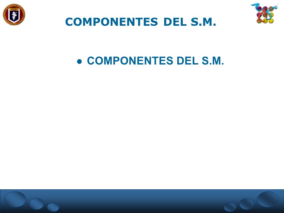 COMPONENTES DEL S.M. COMPONENTES DEL S.M.