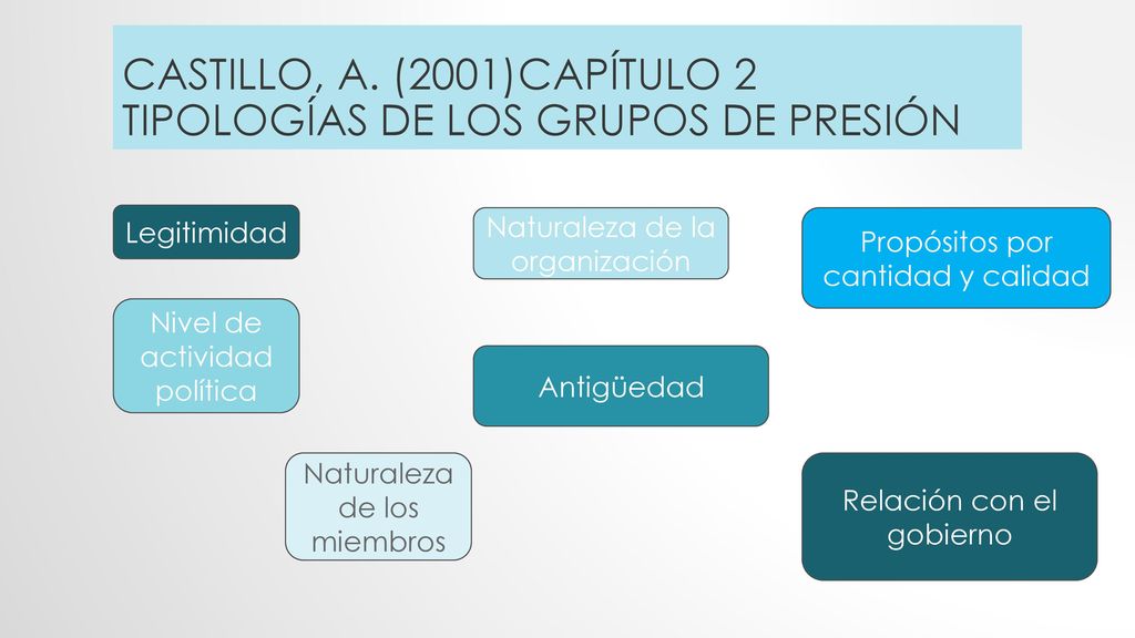 Castillo, A. (2001)Capítulo 2 Tipologías de los grupos de presión