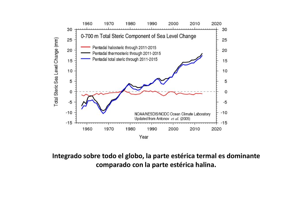 Integrado sobre todo el globo, la parte estérica termal es dominante comparado con la parte estérica halina.