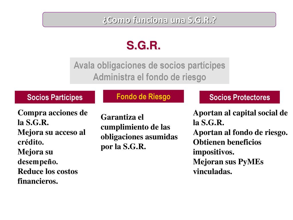 Avala obligaciones de socios partícipes Administra el fondo de riesgo