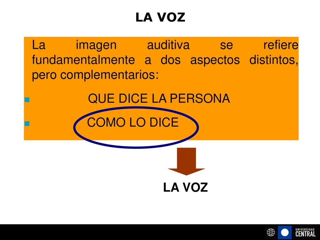 LA VOZ La imagen auditiva se refiere fundamentalmente a dos aspectos distintos, pero complementarios: