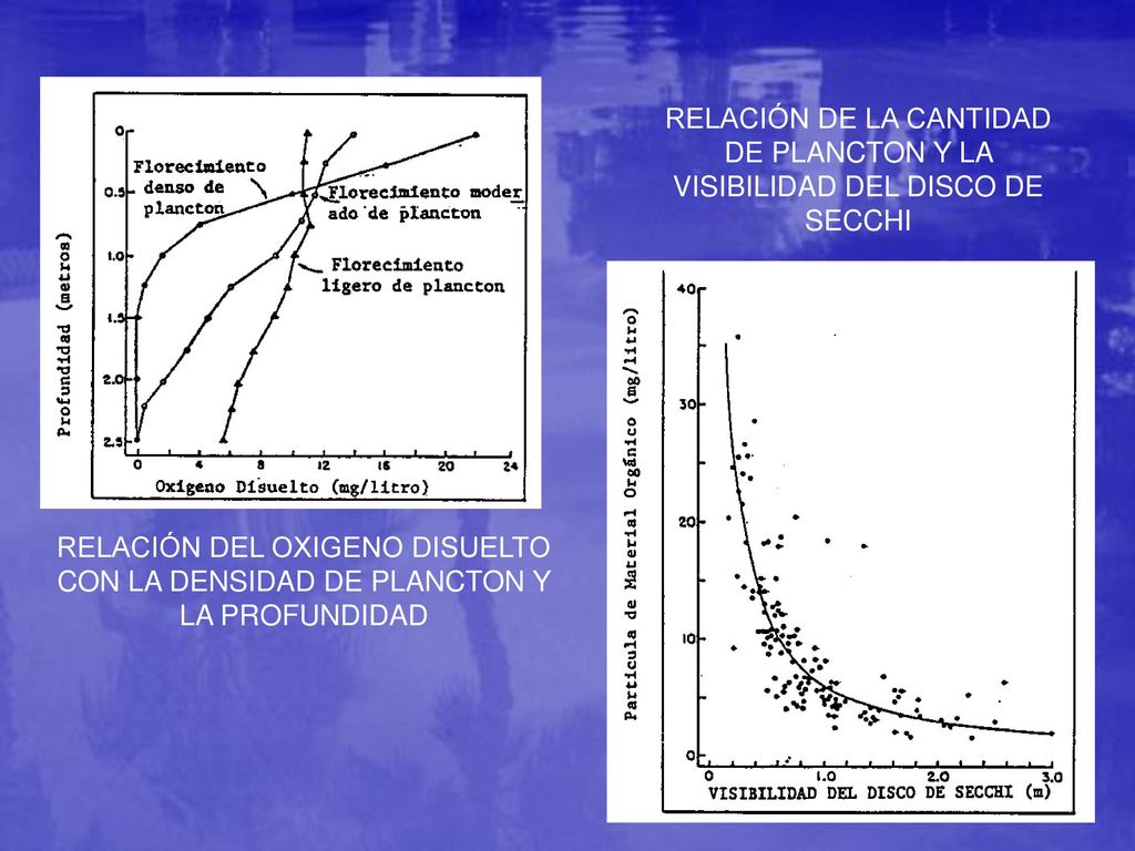 RELACIÓN DE LA CANTIDAD DE PLANCTON Y LA VISIBILIDAD DEL DISCO DE SECCHI