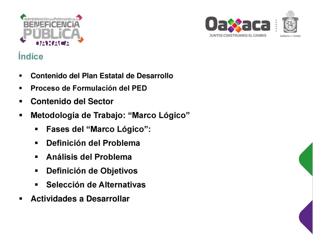 Índice Contenido del Sector Metodología de Trabajo: Marco Lógico