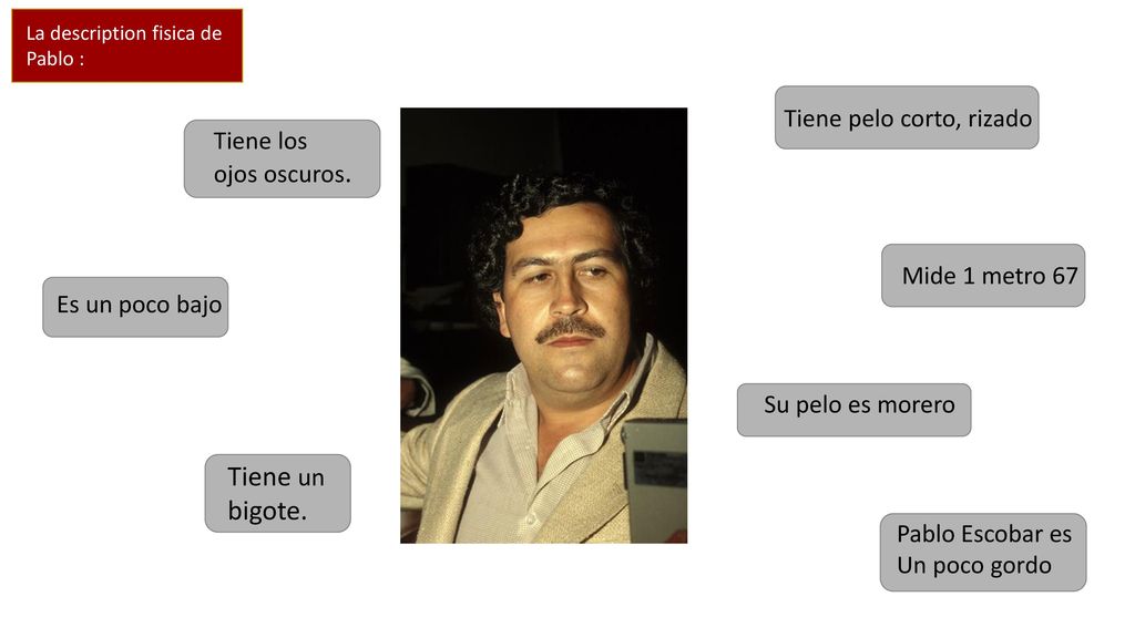Tiene un bigote. Tiene pelo corto, rizado Tiene los ojos oscuros.