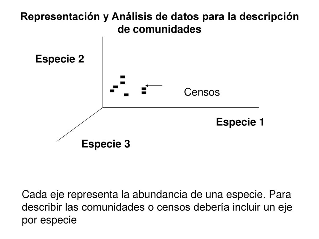 Representación y Análisis de datos para la descripción de comunidades