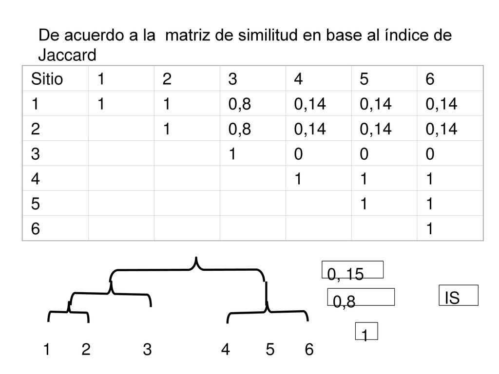 De acuerdo a la matriz de similitud en base al índice de Jaccard