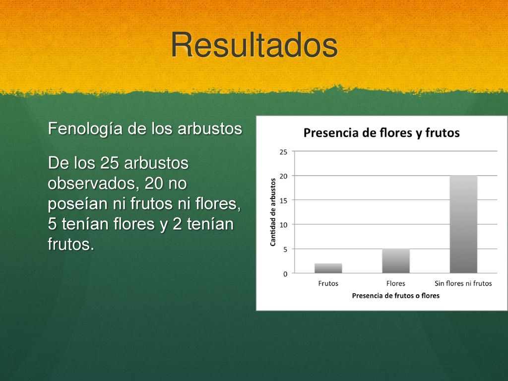 Resultados Fenología de los arbustos De los 25 arbustos observados, 20 no poseían ni frutos ni flores, 5 tenían flores y 2 tenían frutos.