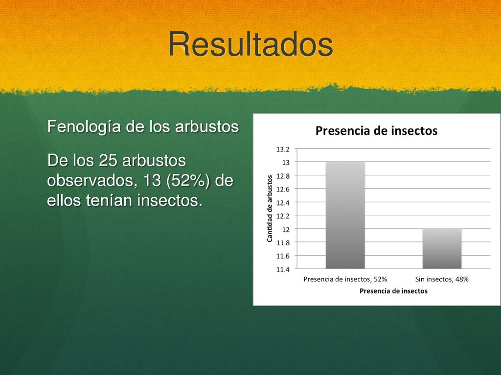 Resultados Fenología de los arbustos De los 25 arbustos observados, 13 (52%) de ellos tenían insectos.