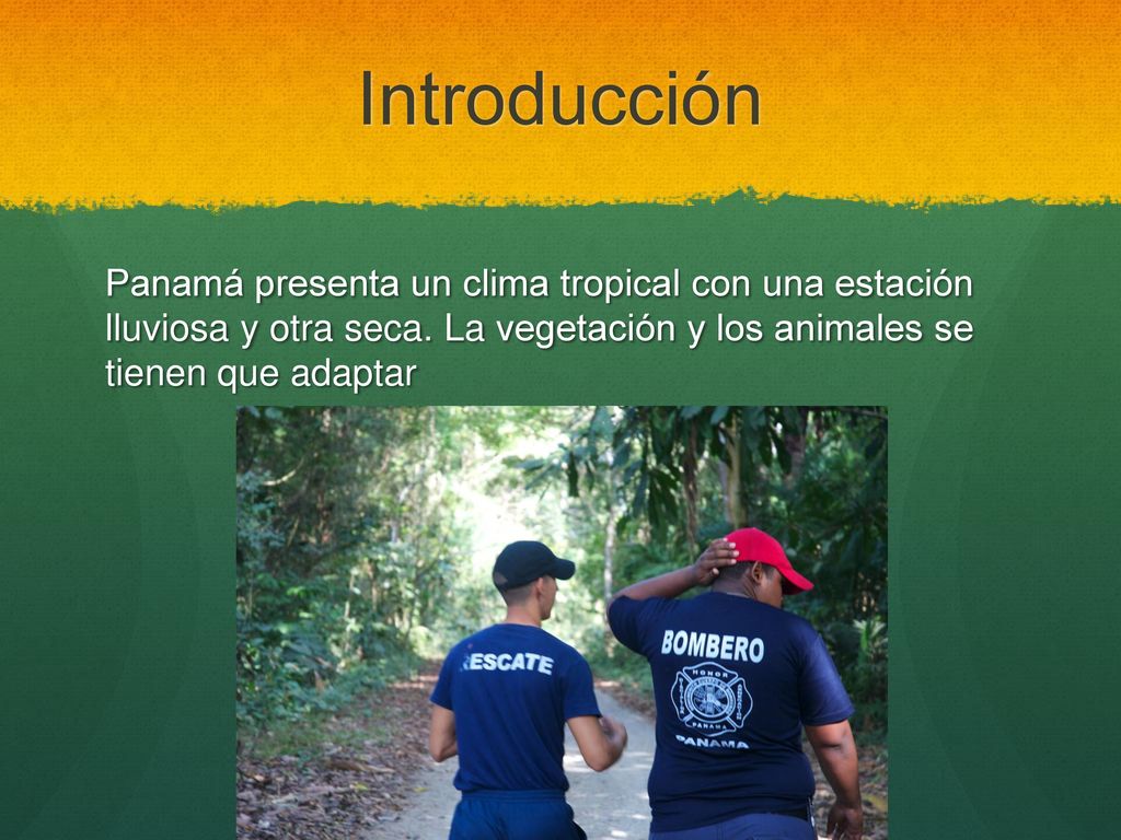 Introducción Panamá presenta un clima tropical con una estación lluviosa y otra seca. La vegetación y los animales se tienen que adaptar.