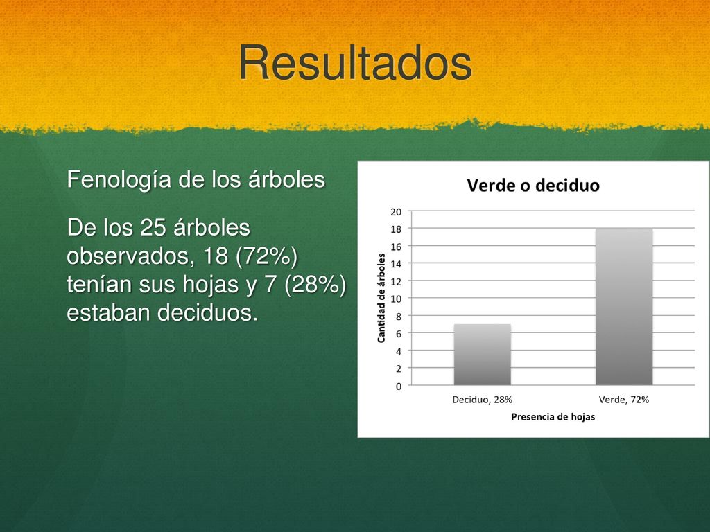 Resultados Fenología de los árboles De los 25 árboles observados, 18 (72%) tenían sus hojas y 7 (28%) estaban deciduos.