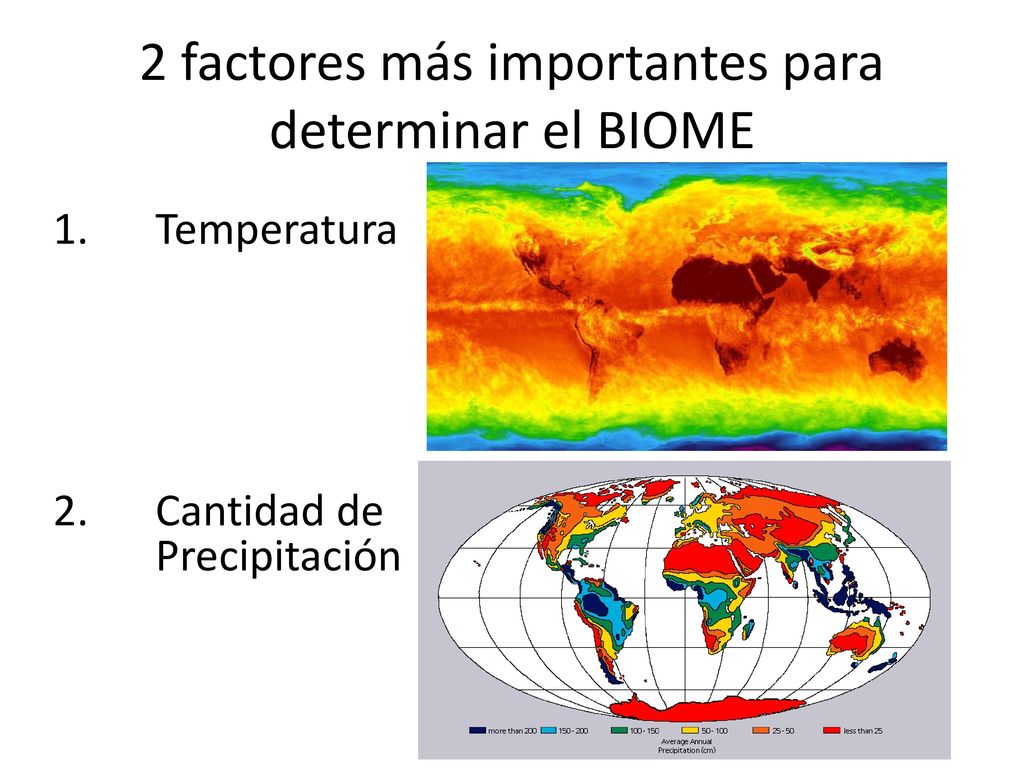 2 factores más importantes para determinar el BIOME