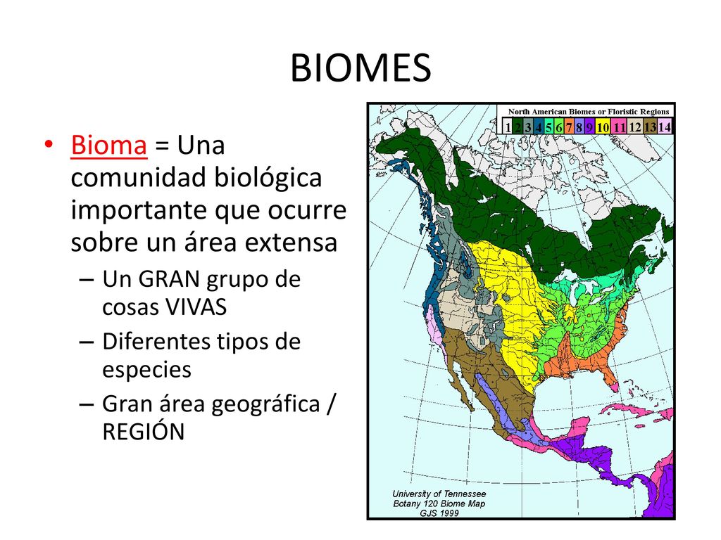 BIOMES Bioma = Una comunidad biológica importante que ocurre sobre un área extensa. Un GRAN grupo de cosas VIVAS.