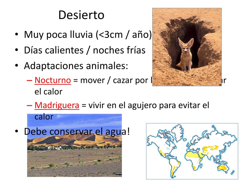 Desierto Muy poca lluvia (<3cm / año) Días calientes / noches frías