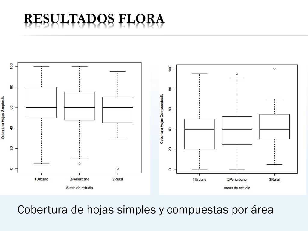Resultados Flora Cobertura de hojas simples y compuestas por área