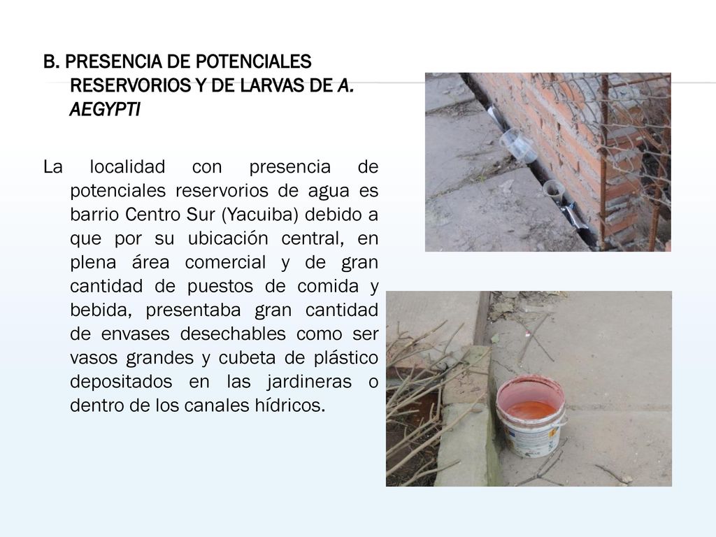 B. PRESENCIA DE POTENCIALES RESERVORIOS Y DE LARVAS DE A