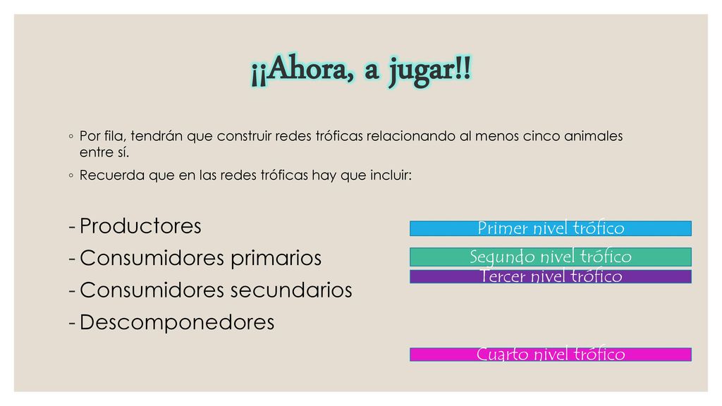 ¡¡Ahora, a jugar!! Productores Consumidores primarios