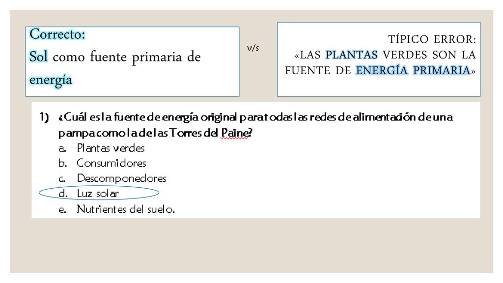 Correcto: Sol como fuente primaria de energía