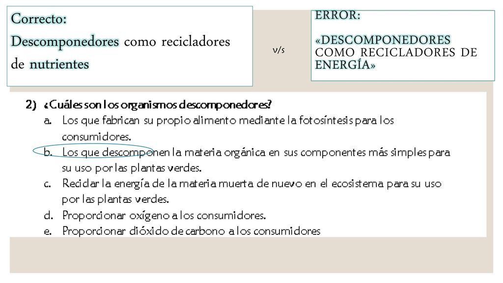 Correcto: Descomponedores como recicladores de nutrientes