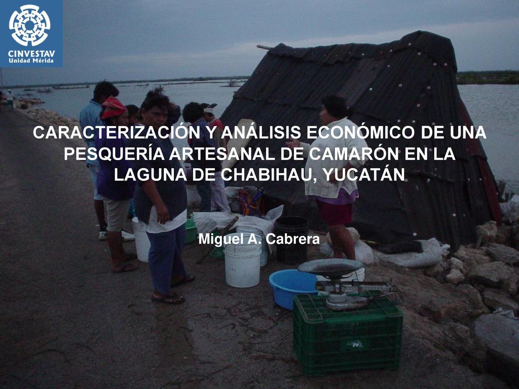 CARACTERIZACIÓN Y ANÁLISIS ECONÓMICO DE UNA PESQUERÍA ARTESANAL DE CAMARÓN EN LA LAGUNA DE CHABIHAU, YUCATÁN