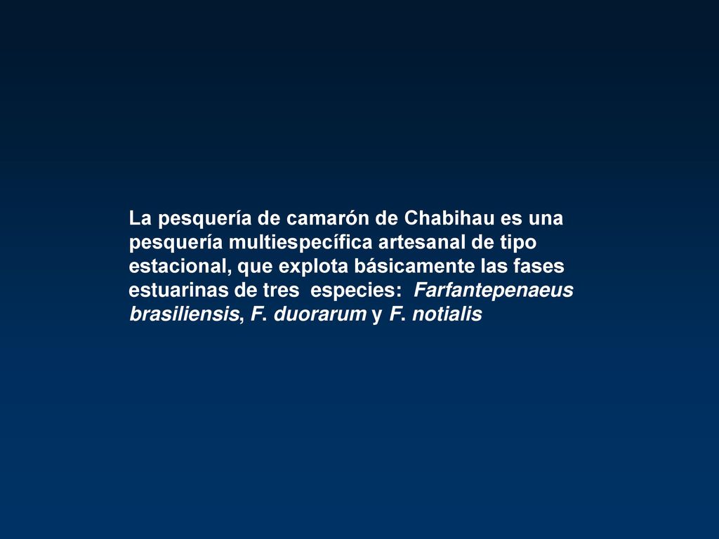 La pesquería de camarón de Chabihau es una pesquería multiespecífica artesanal de tipo estacional, que explota básicamente las fases estuarinas de tres especies: Farfantepenaeus brasiliensis, F.