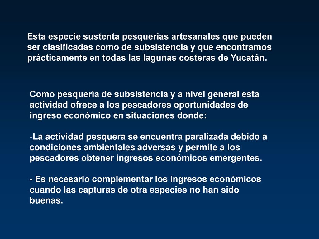 Esta especie sustenta pesquerías artesanales que pueden ser clasificadas como de subsistencia y que encontramos prácticamente en todas las lagunas costeras de Yucatán.