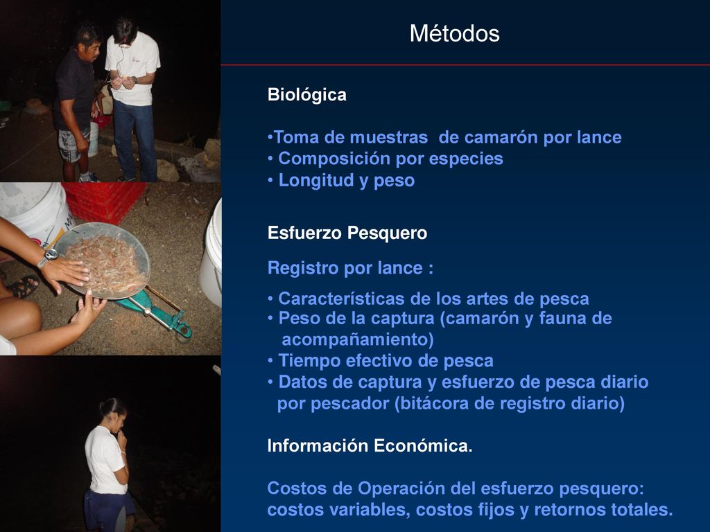 Métodos Biológica Toma de muestras de camarón por lance