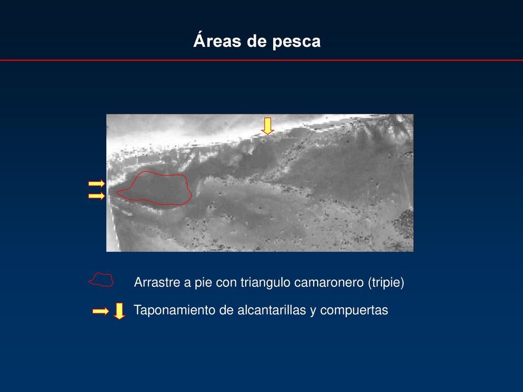 Áreas de pesca Arrastre a pie con triangulo camaronero (tripie)