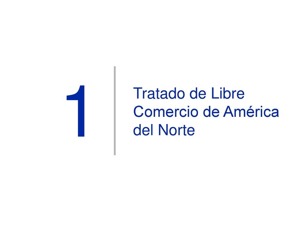 1 Tratado de Libre Comercio de América del Norte