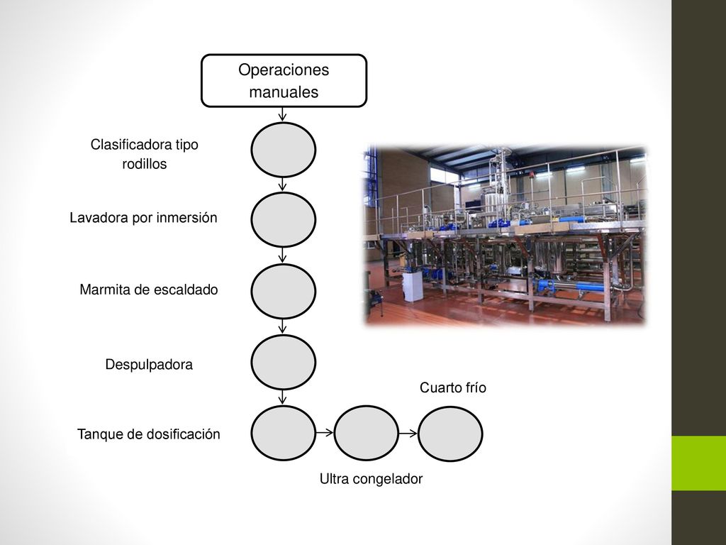 Operaciones manuales Clasificadora tipo rodillos