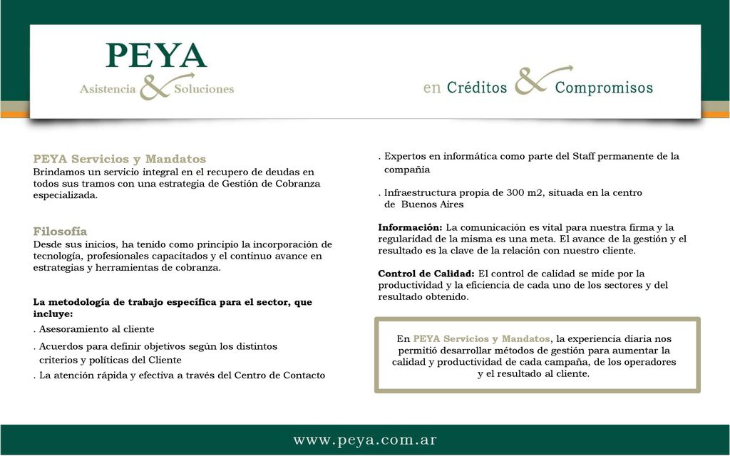 . Expertos en informática como parte del Staff permanente de la
