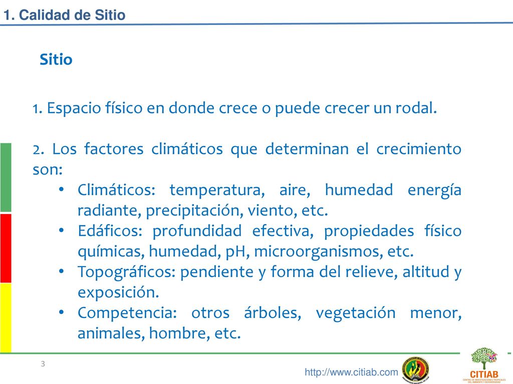1. Espacio físico en donde crece o puede crecer un rodal.
