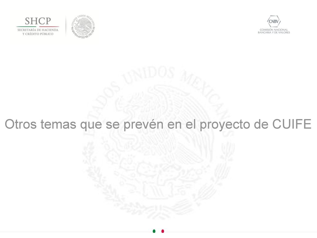 Otros temas que se prevén en el proyecto de CUIFE
