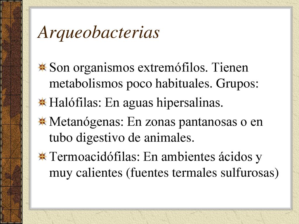 Arqueobacterias Son organismos extremófilos. Tienen metabolismos poco habituales. Grupos: Halófilas: En aguas hipersalinas.