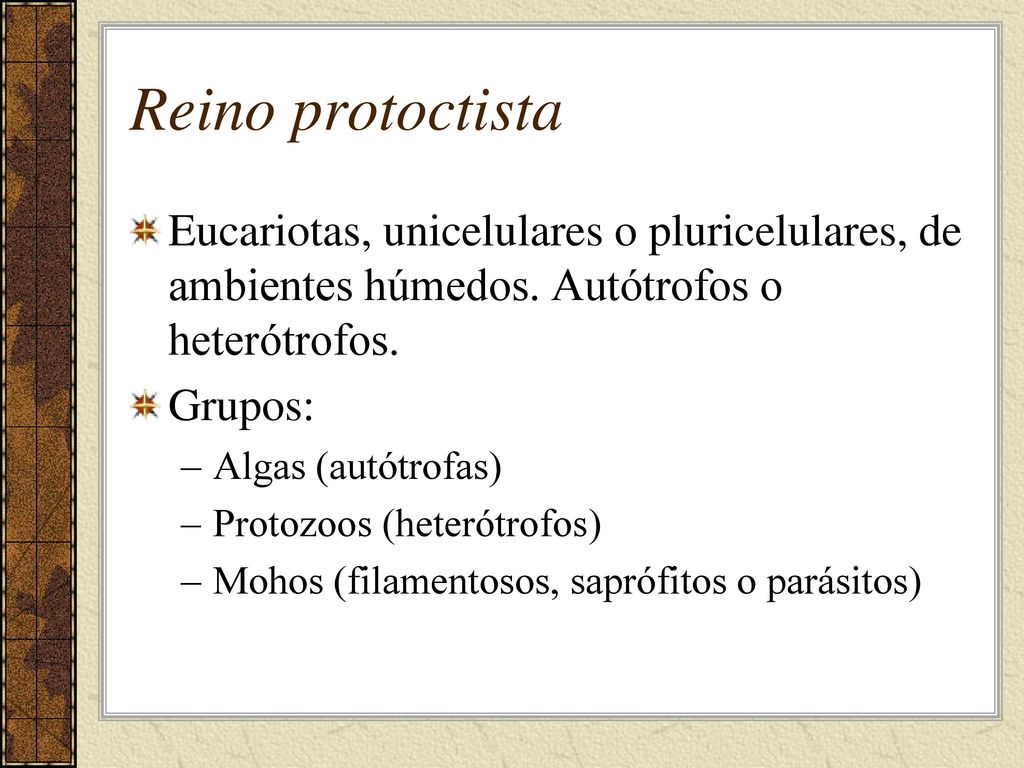 Reino protoctista Eucariotas, unicelulares o pluricelulares, de ambientes húmedos. Autótrofos o heterótrofos.