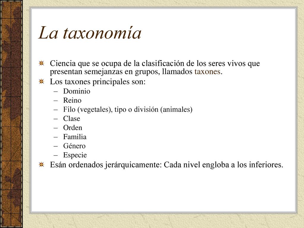 La taxonomía Ciencia que se ocupa de la clasificación de los seres vivos que presentan semejanzas en grupos, llamados taxones.