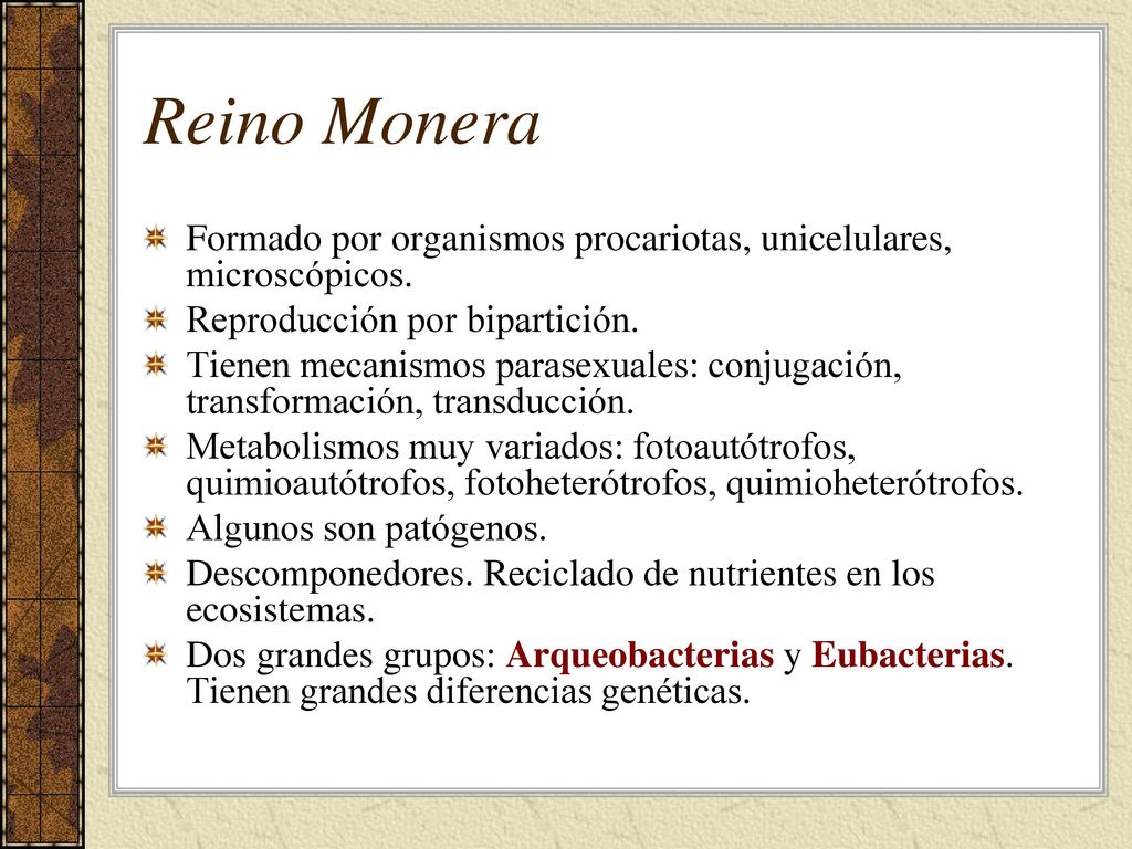 Reino Monera Formado por organismos procariotas, unicelulares, microscópicos. Reproducción por bipartición.