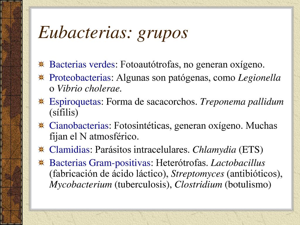 Eubacterias: grupos Bacterias verdes: Fotoautótrofas, no generan oxígeno. Proteobacterias: Algunas son patógenas, como Legionella o Vibrio cholerae.
